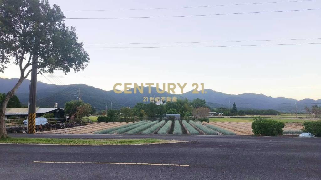 DC492三星大面寬方正老農的地