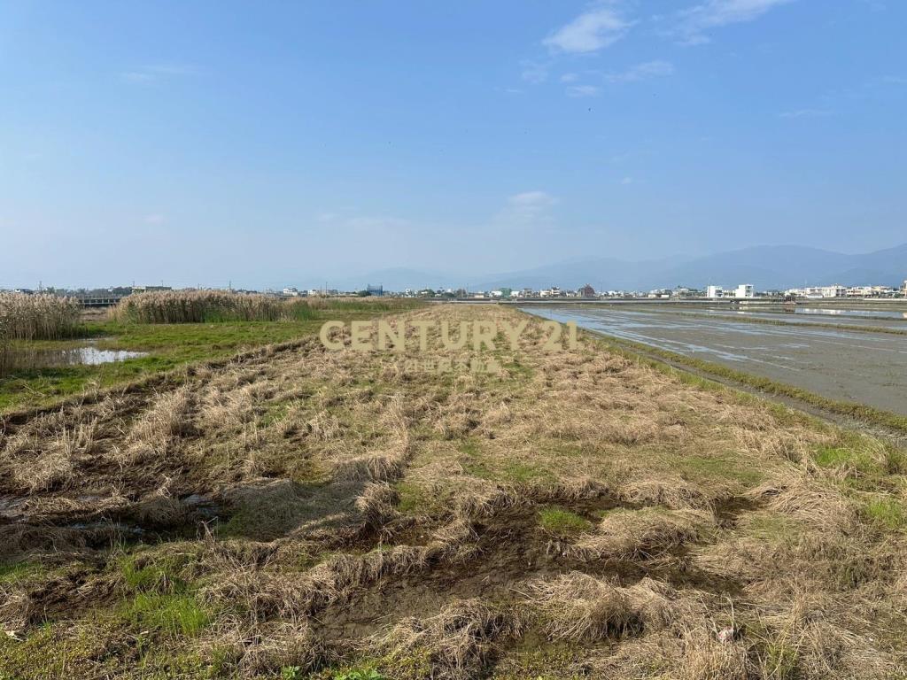 DC518壯圍足坪便宜農地