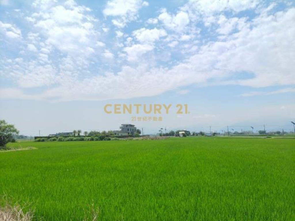 DC519壯圍濱海大路旁千坪農地