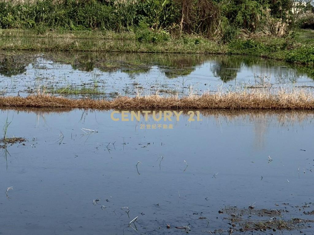 DC520水的故鄉！員山拾光漂亮農地