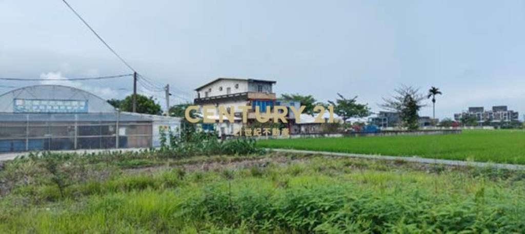 DC540高鐵預定地紅線內農地(有溫室)