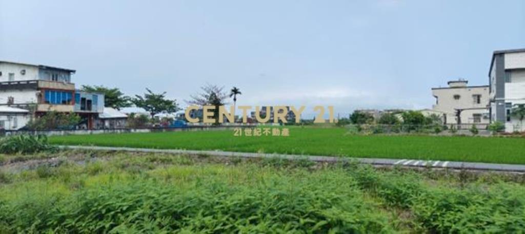 DC540高鐵預定地紅線內農地(有溫室)