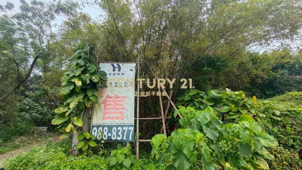 DC541壯圍壯濱俗俗賣農建地