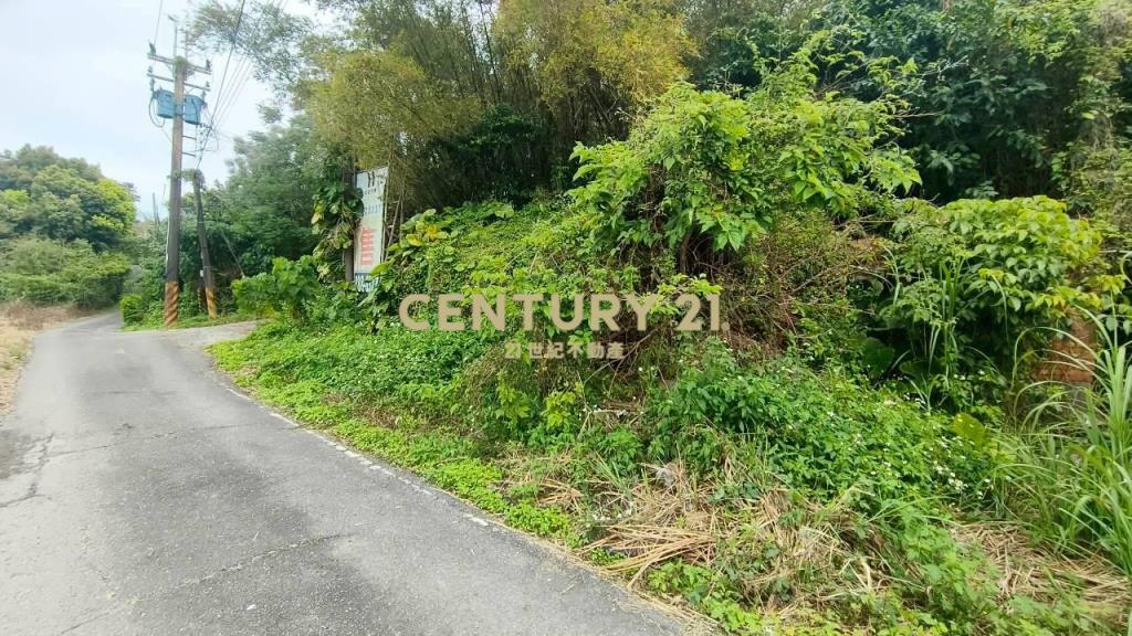 DC541壯圍壯濱俗俗賣農建地