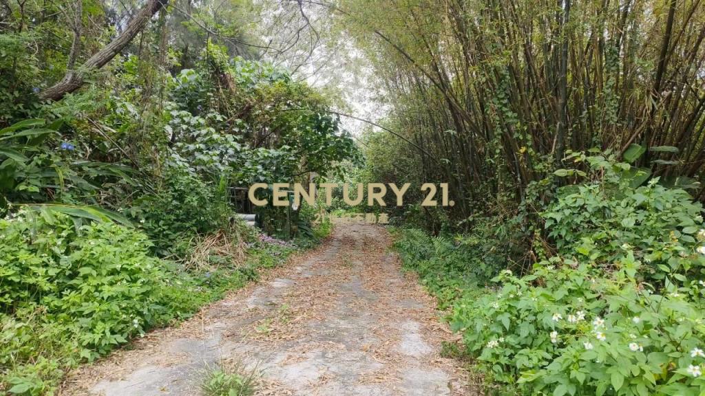 DC541壯圍壯濱俗俗賣農建地