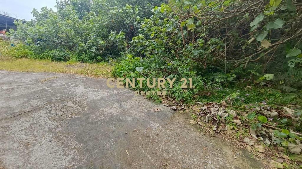 DC541壯圍壯濱俗俗賣農建地