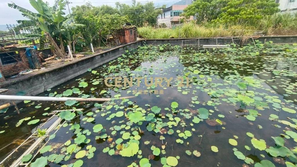 DC546德陽段有潛力賺錢農地