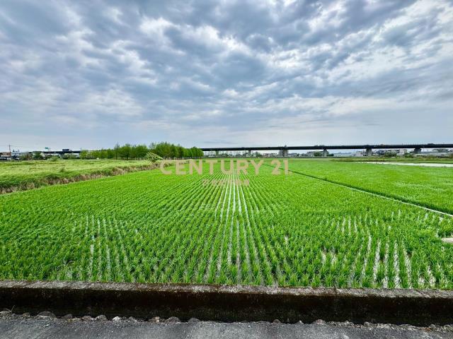 DC535礁溪大面寬國五旁老農地