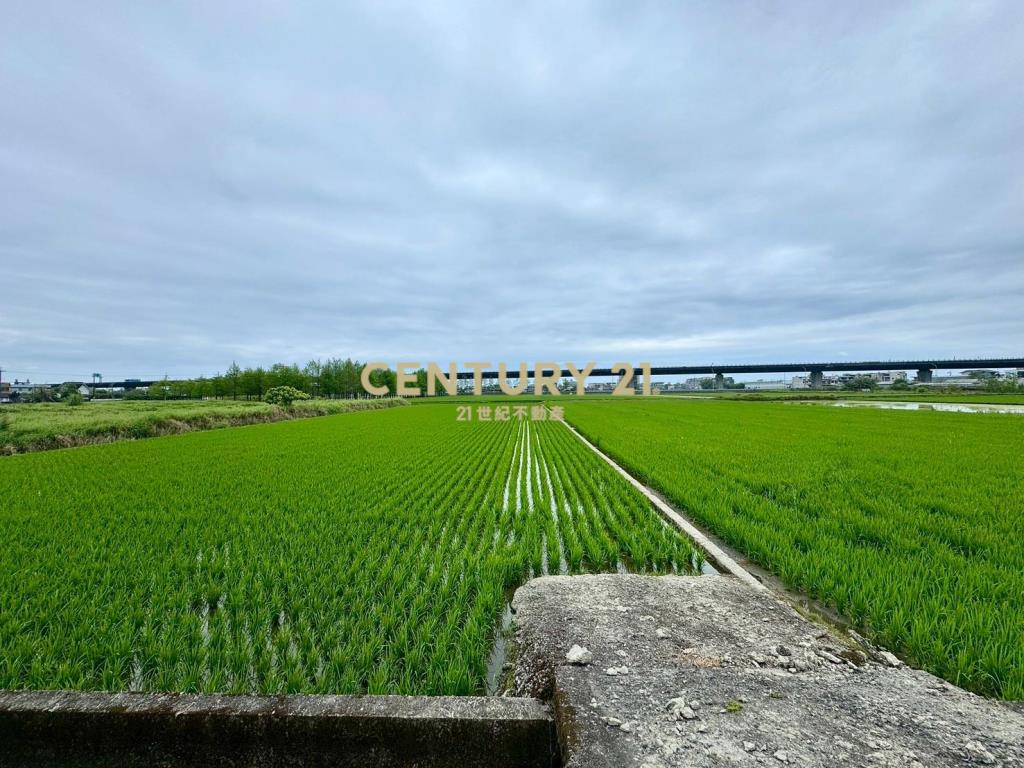 DC535礁溪大面寬國五旁老農地