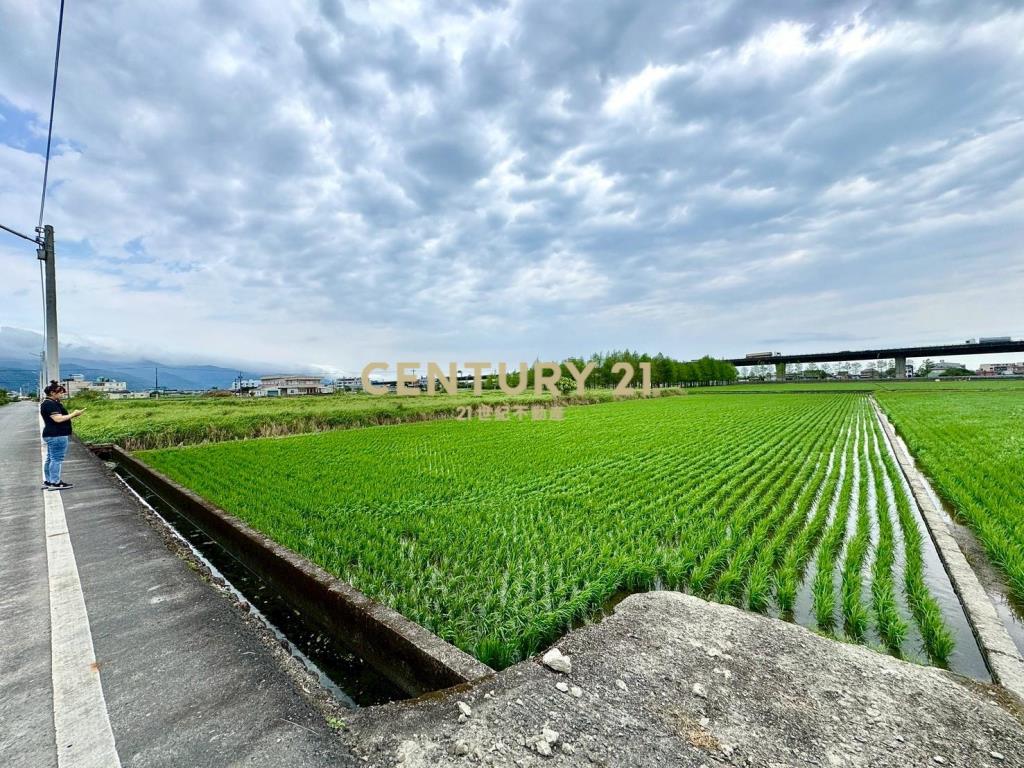 DC535礁溪大面寬國五旁老農地