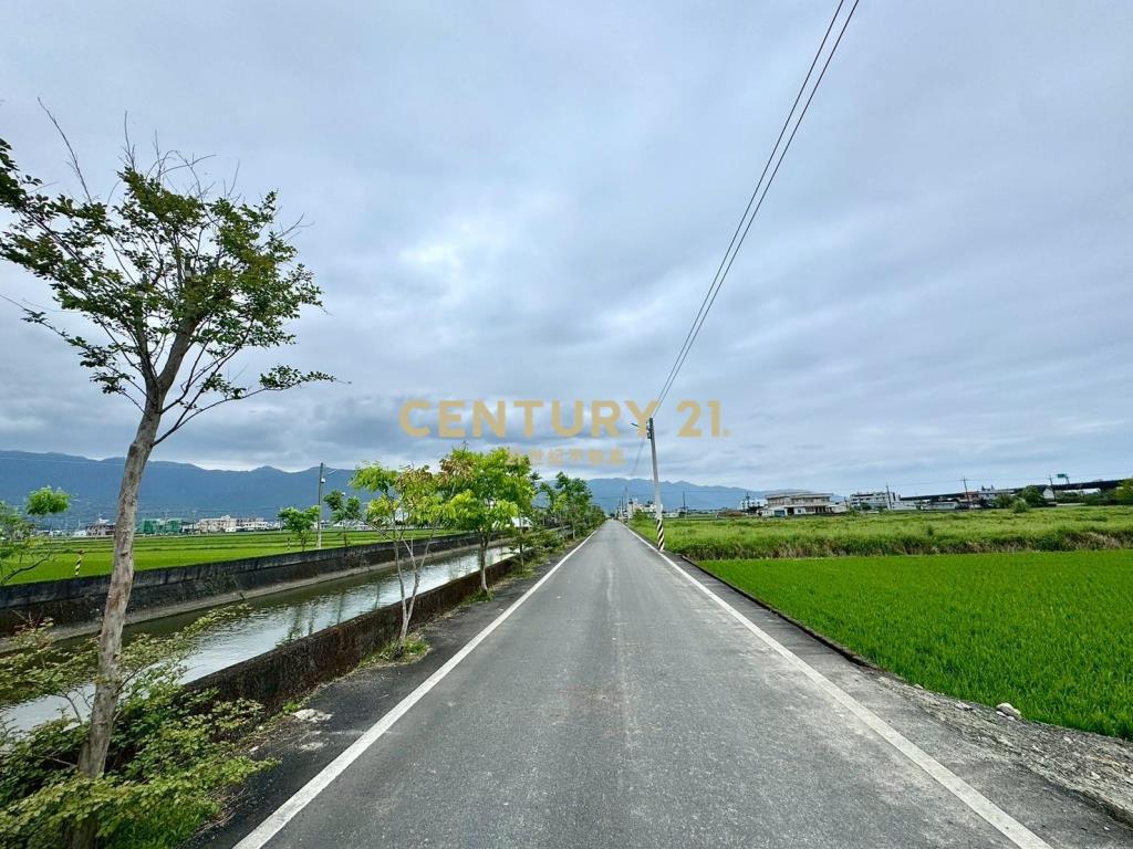 DC535礁溪大面寬國五旁老農地