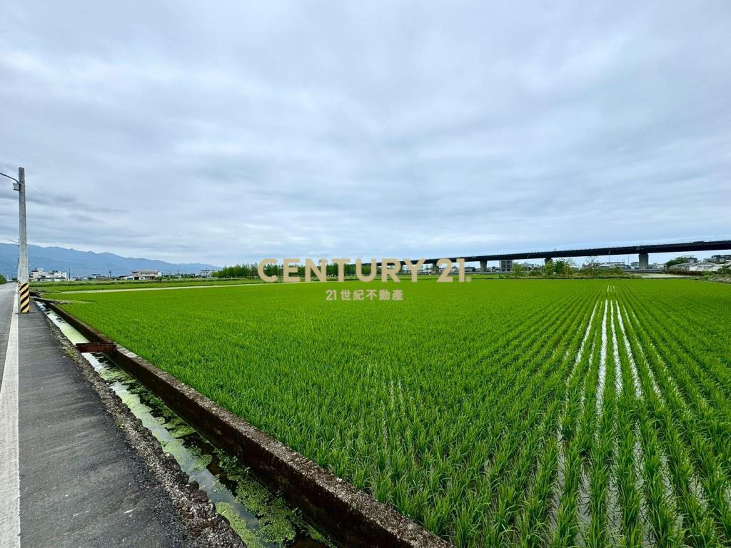 DC535礁溪大面寬國五旁老農地