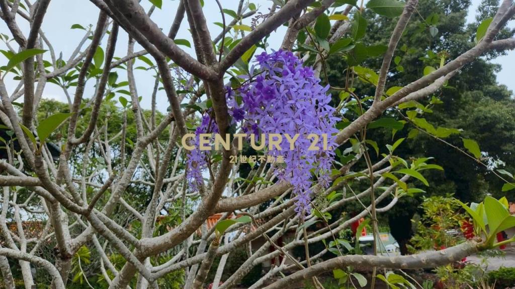 DC548礁溪禪風大面寬足坪農地