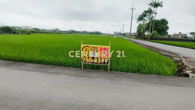 DC549冬山572雙面路農地