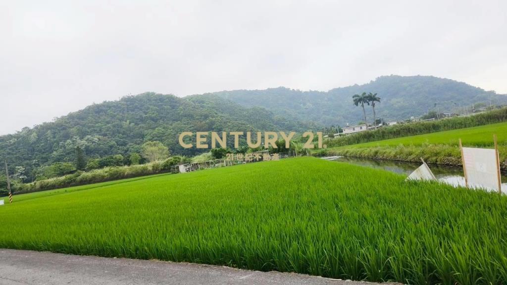 DC549冬山572雙面路農地