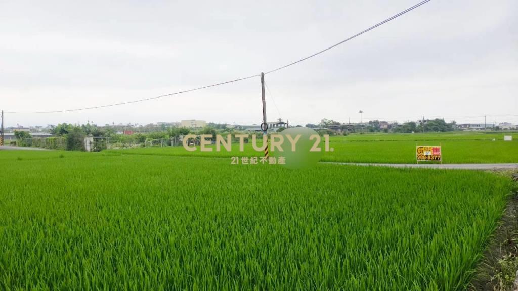 DC549冬山572雙面路農地