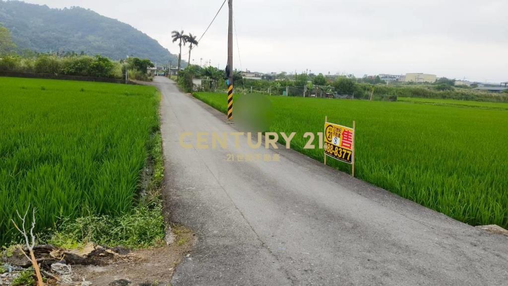 DC549冬山572雙面路農地