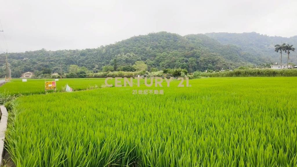 DC549冬山572雙面路農地