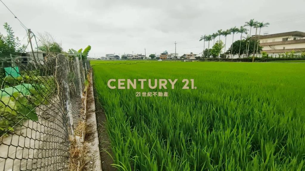 DC549冬山572雙面路農地