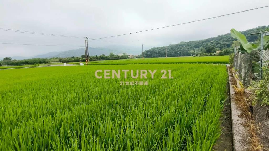 DC549冬山572雙面路農地