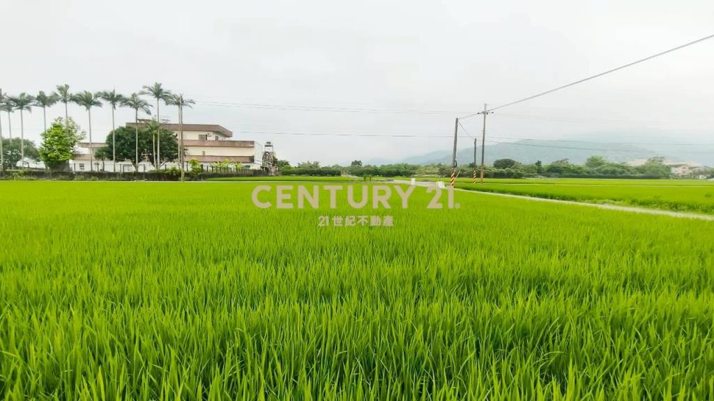 DC549冬山572雙面路農地