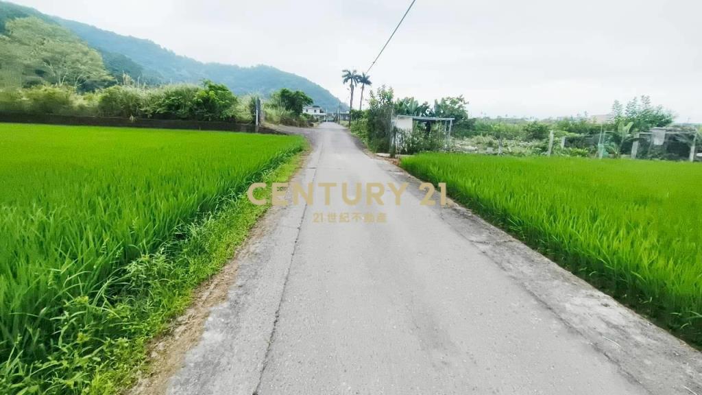 DC549冬山572雙面路農地