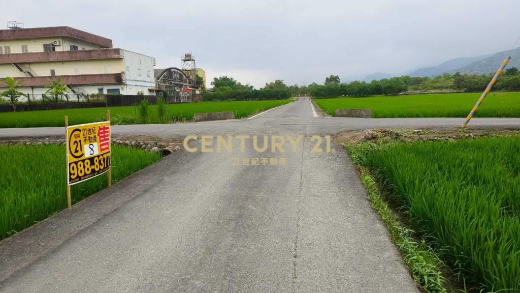 DC549冬山572雙面路農地