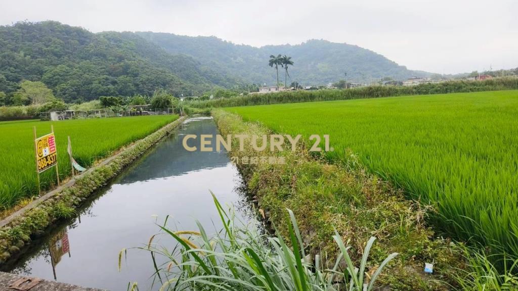 DC549冬山572雙面路農地