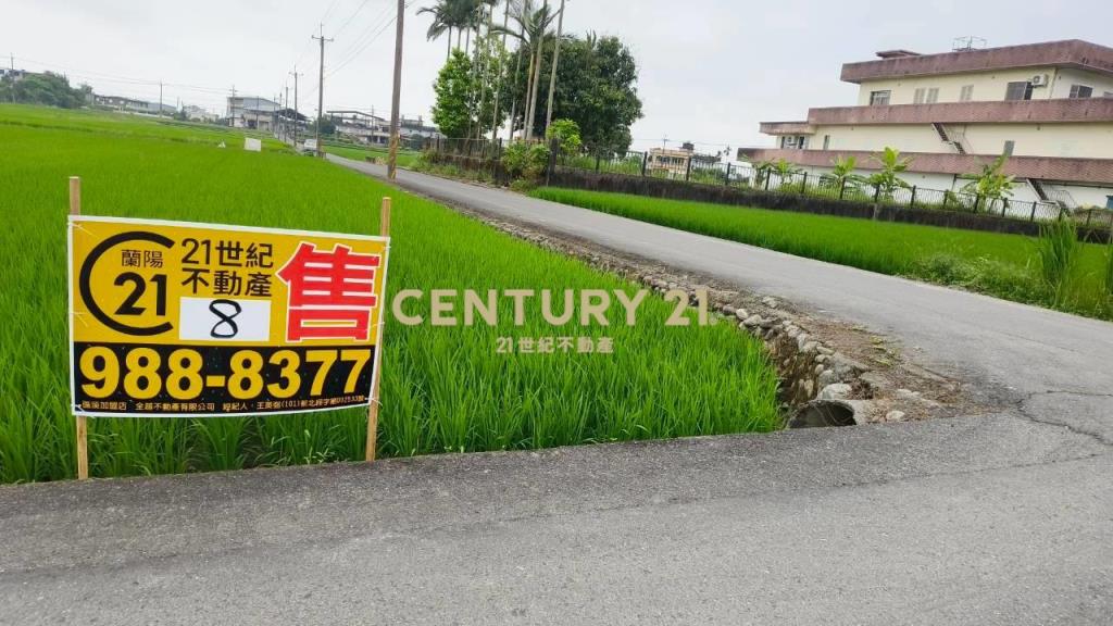 DC549冬山572雙面路農地