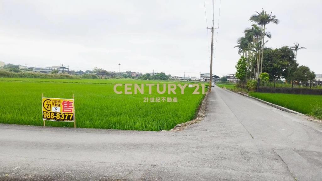 DC549冬山572雙面路農地