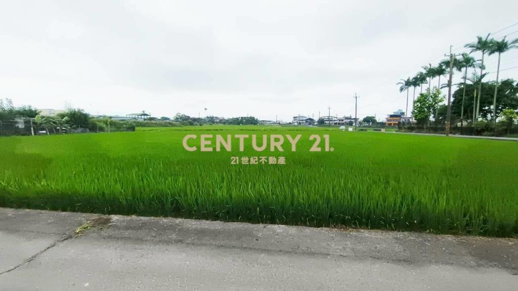 DC549冬山572雙面路農地