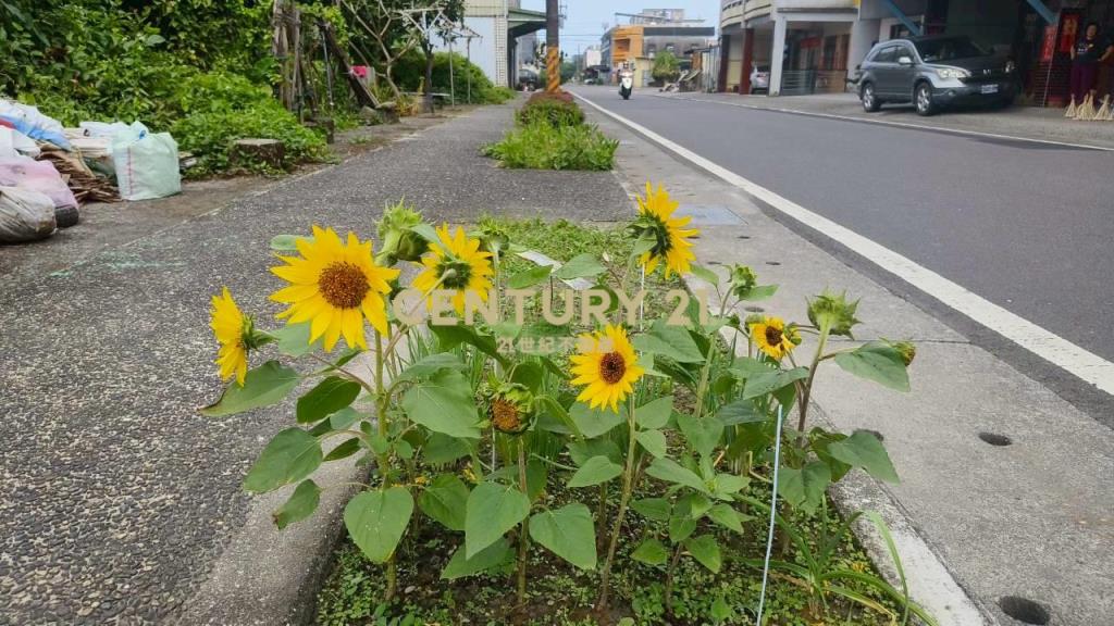 DD251冬山大面寬方正漂亮建地
