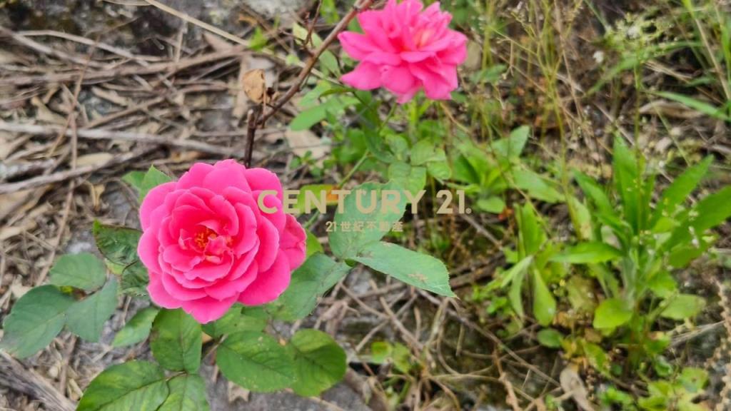 DD251冬山大面寬方正漂亮建地