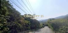 DC550新北萬里香員林臨路山坡地