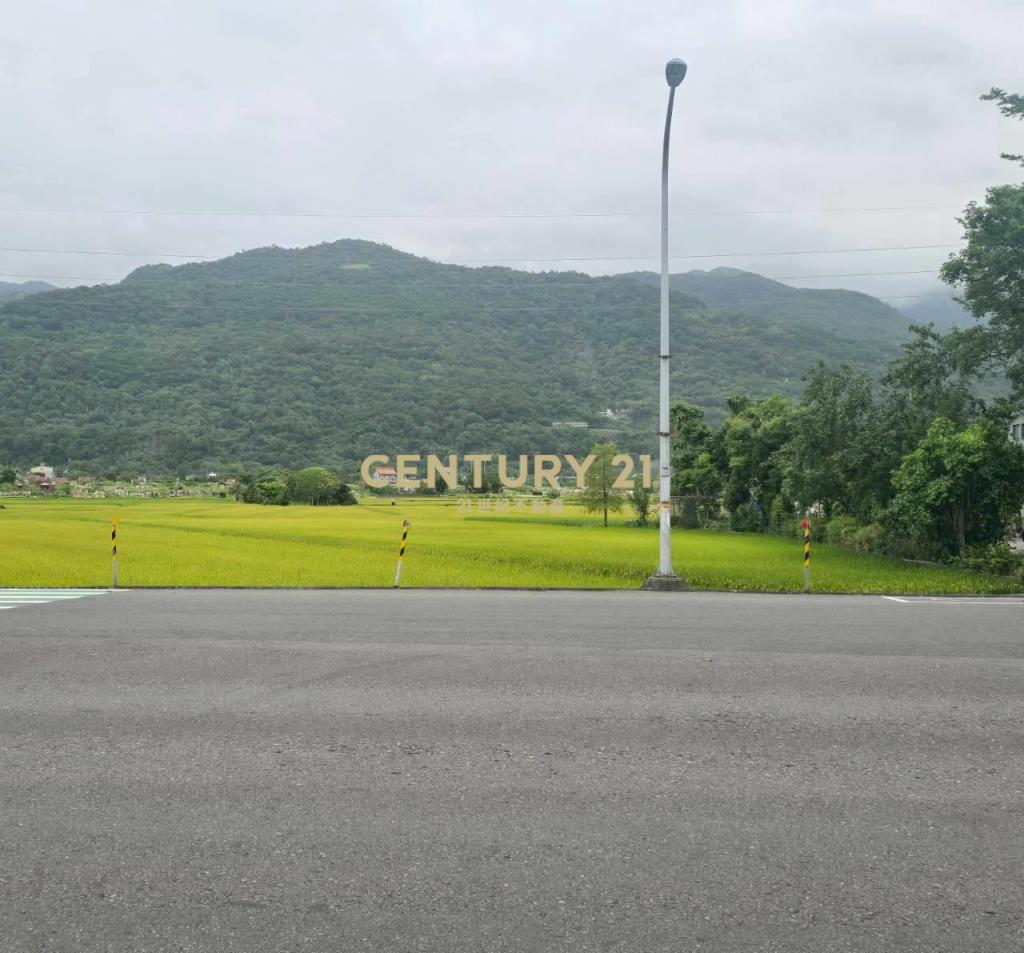 JD163頭城省道旁甲建