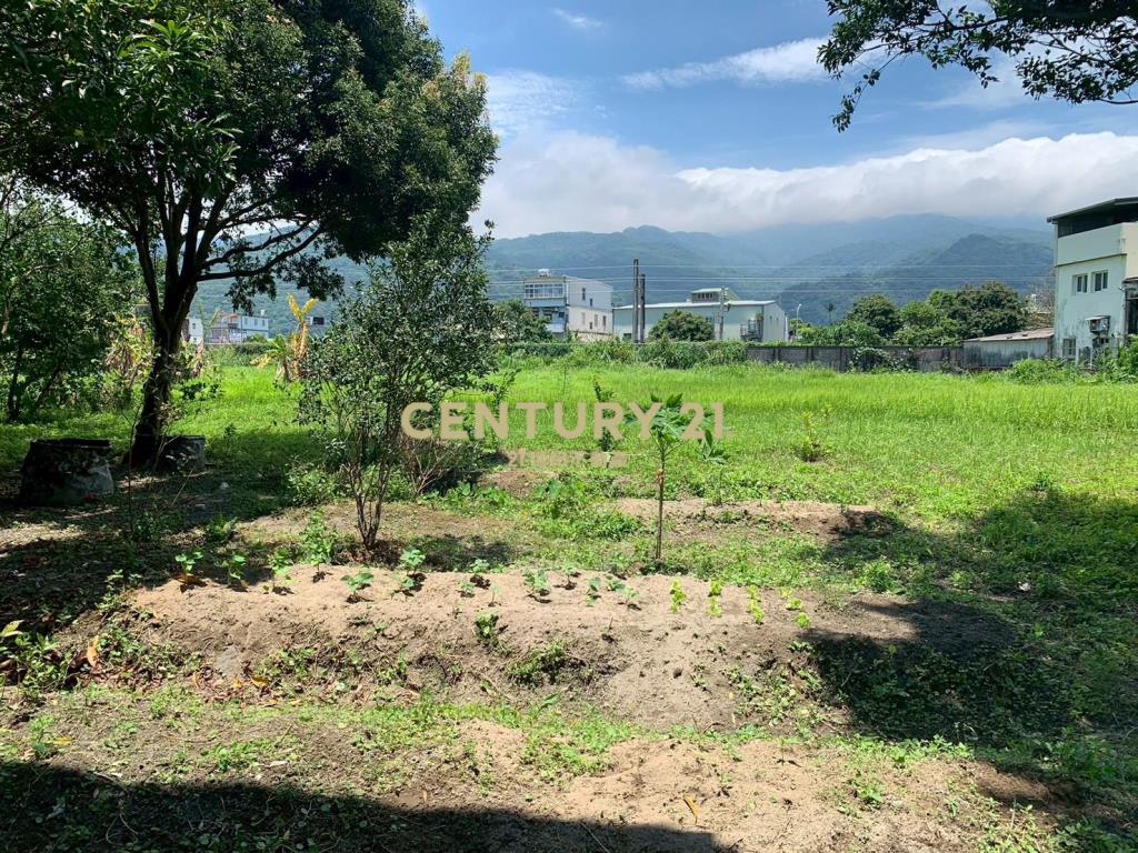 JD164頂埔快樂農夫持分農建地