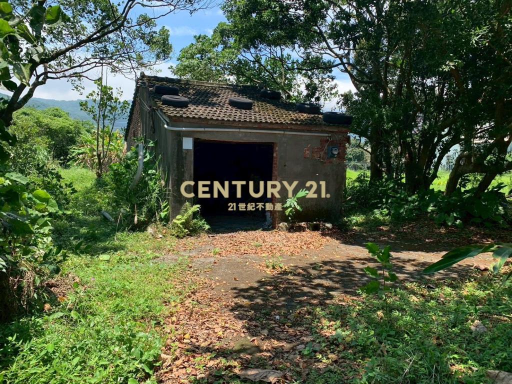 JD164頂埔快樂農夫持分農建地