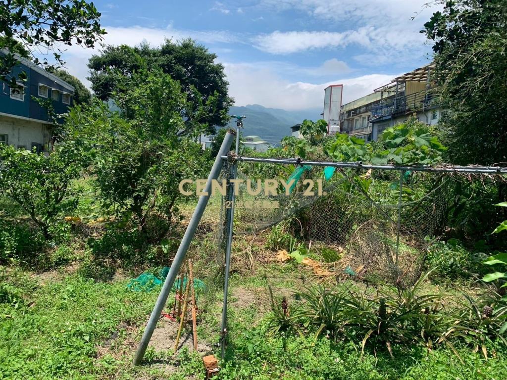 JD164頂埔快樂農夫持分農建地