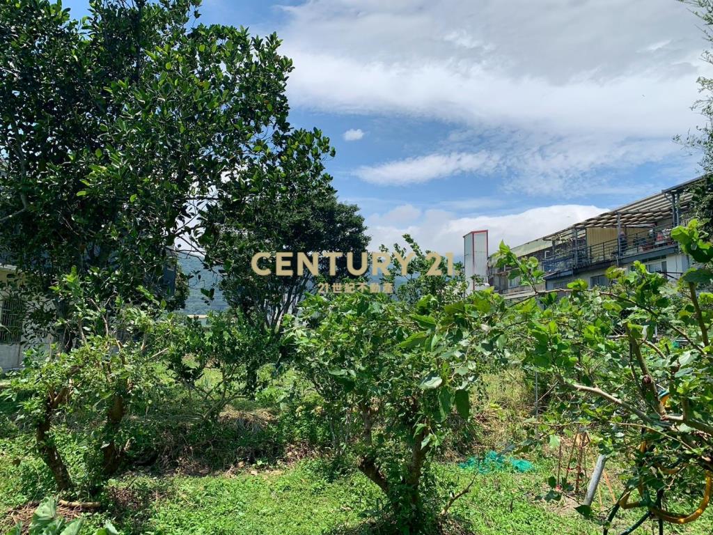 JD164頂埔快樂農夫持分農建地