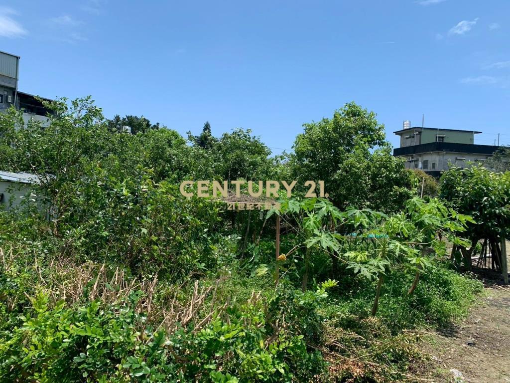 JD164頂埔快樂農夫持分農建地