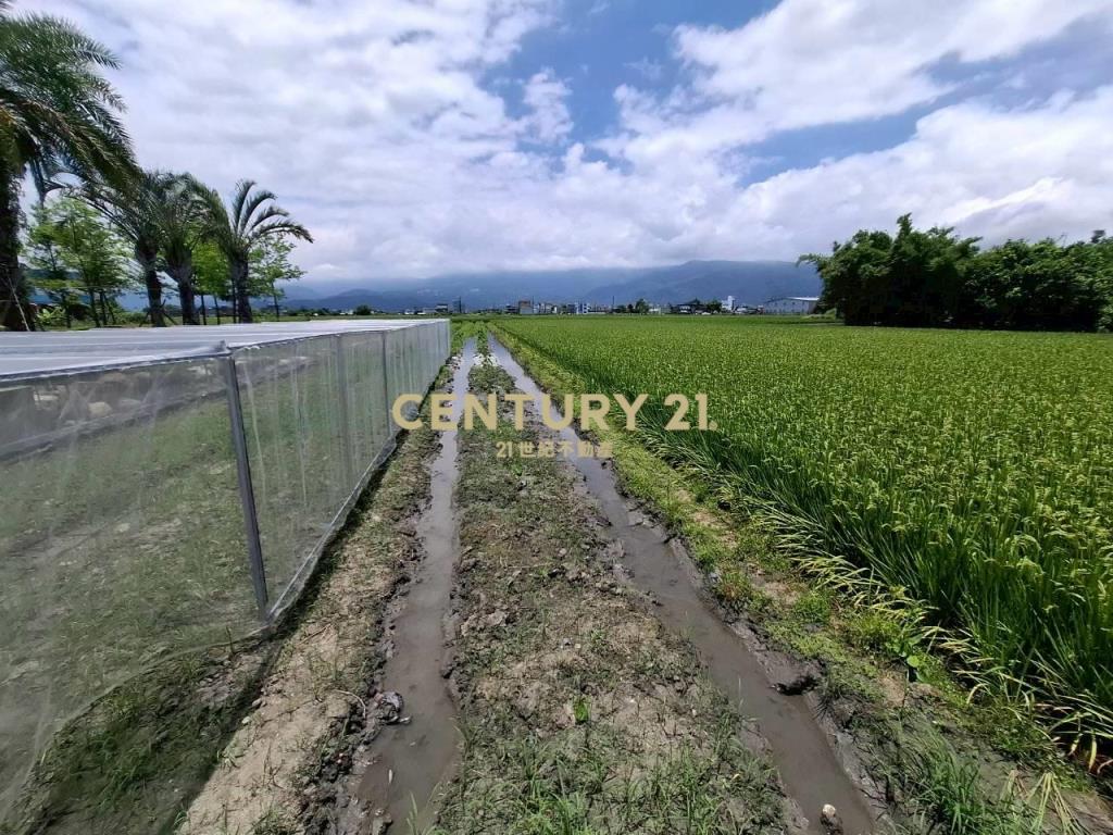 DE169車路頭半完工田園溫室
