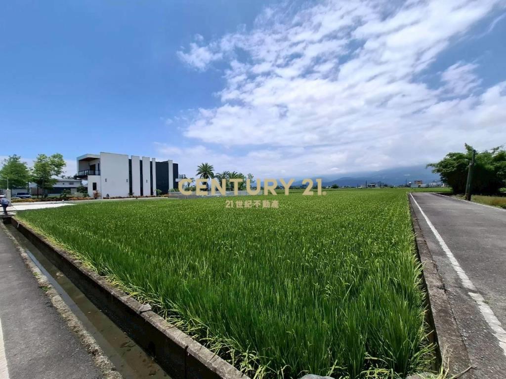 DE169車路頭半完工田園溫室