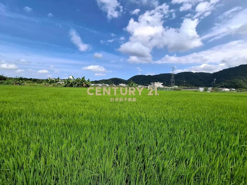 DC553三星可農許設施農地