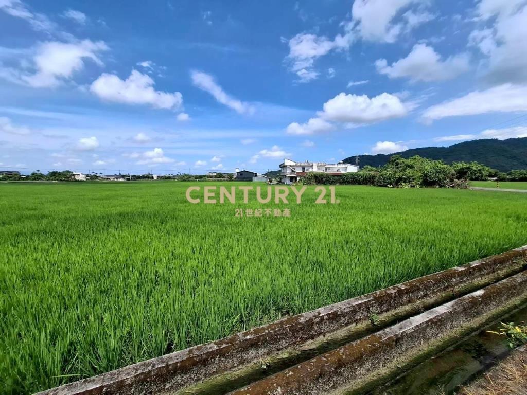 DC553三星可農許設施農地