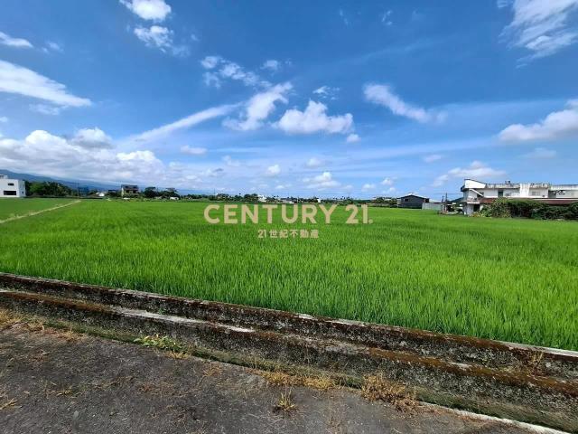 DC554三星大坑段小坪數農地