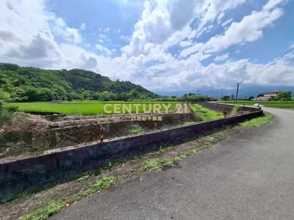 DC554三星大坑段小坪數農地