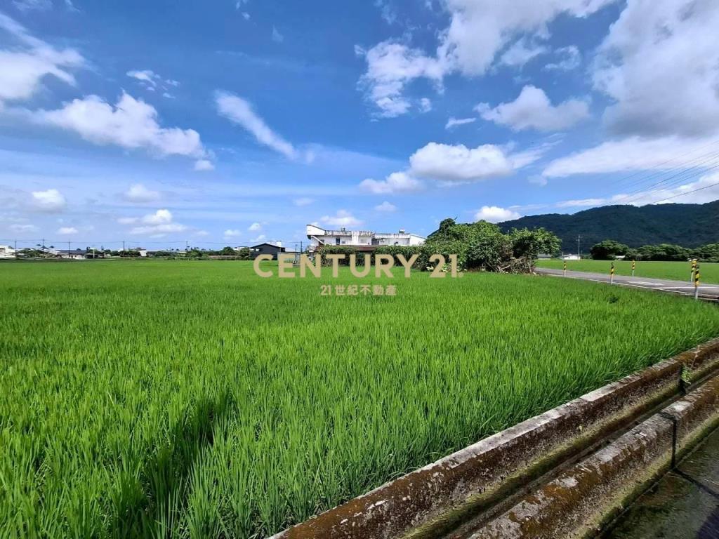 DC554三星大坑段小坪數農地
