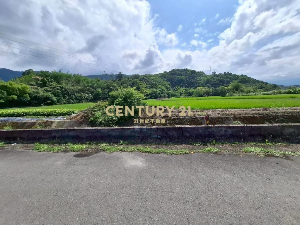 DC554三星大坑段小坪數農地