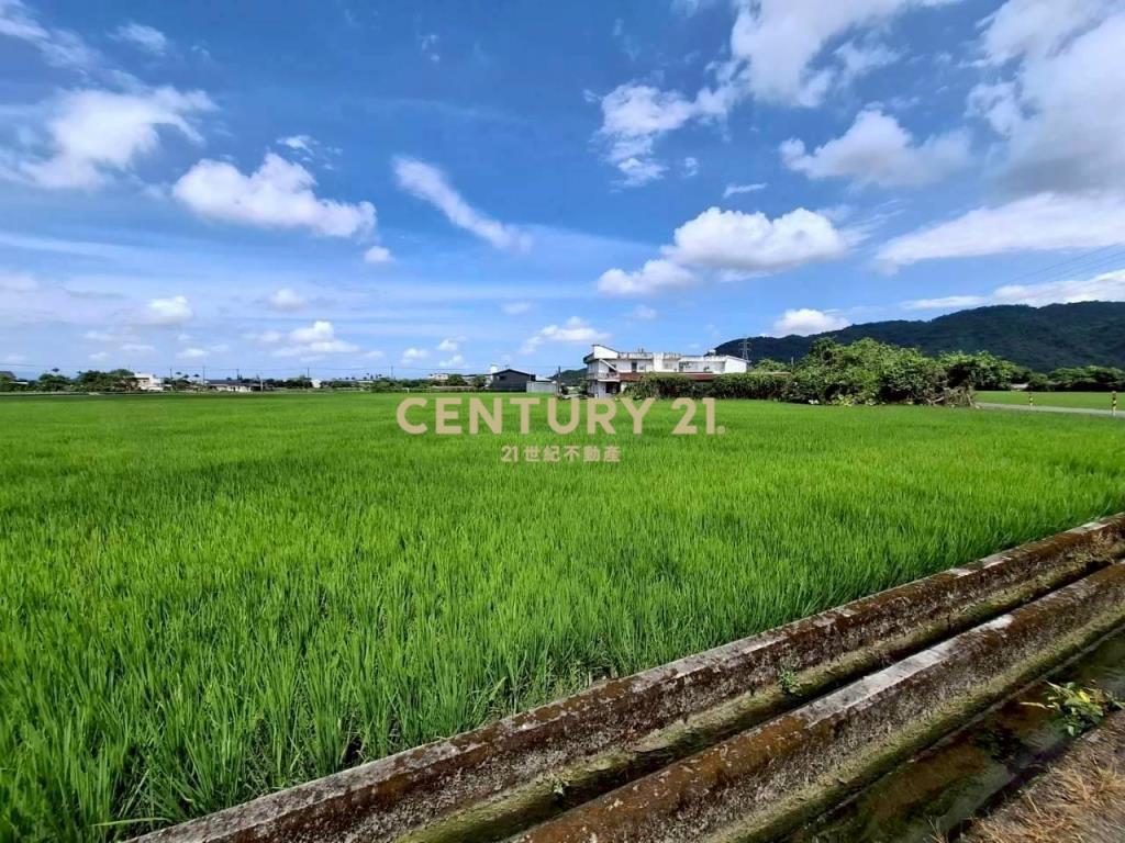DC556三星大湖美好農地