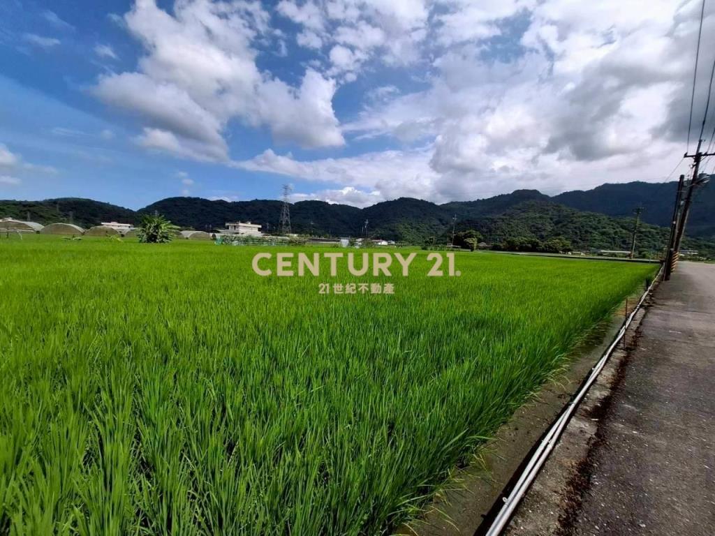 DC556三星大湖美好農地
